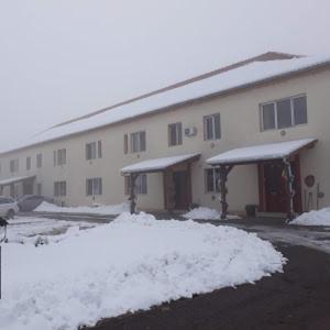 Vila Zoppas Inn Sînnicolau Mare Esterno foto